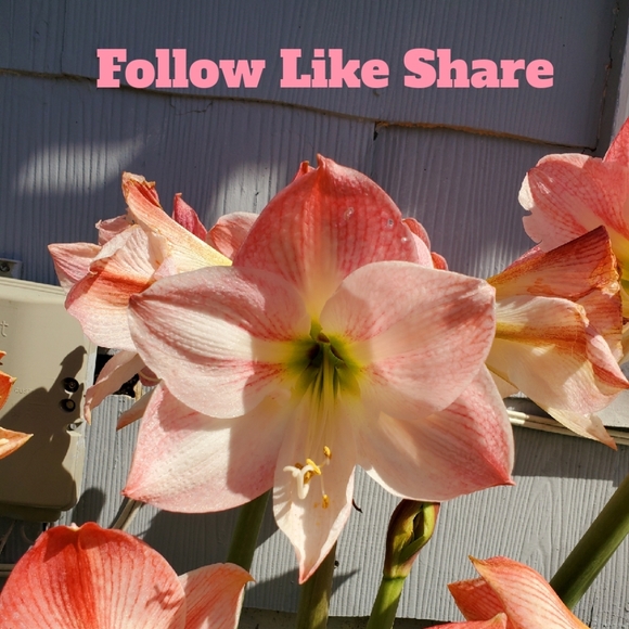 ๐ Please follow my new game. Thank you for your support. - Picture 7 of 9